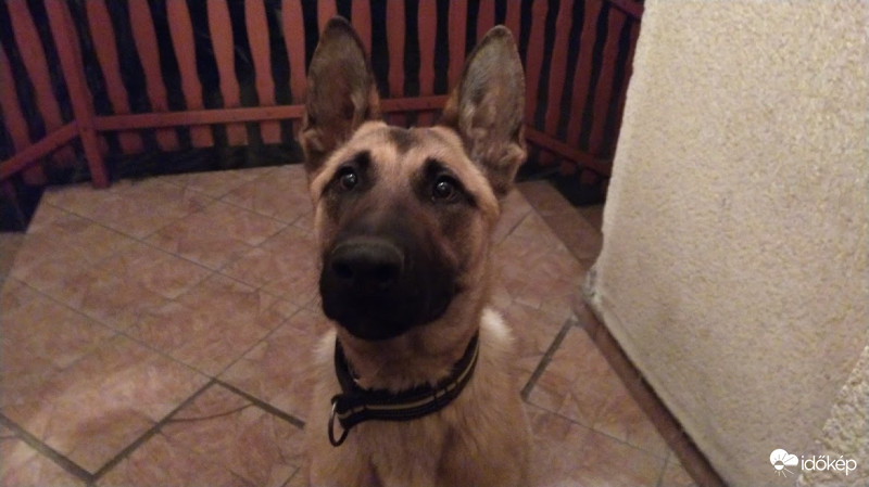 Angyali szemek :)