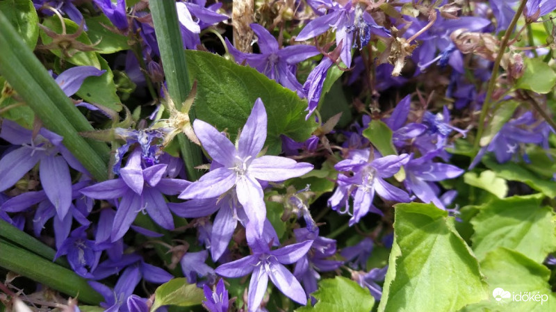 :)