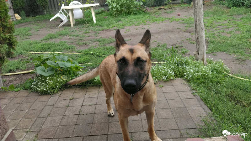 :)