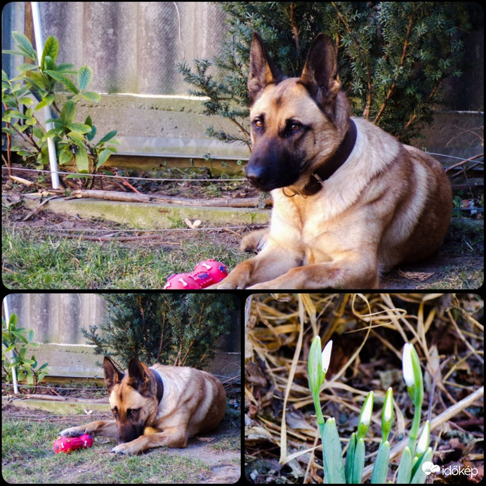 Délelőtti összefoglaló