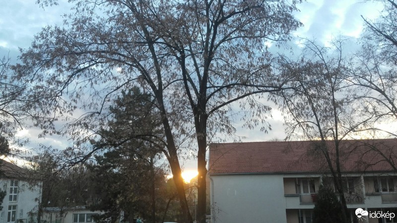 Ajka