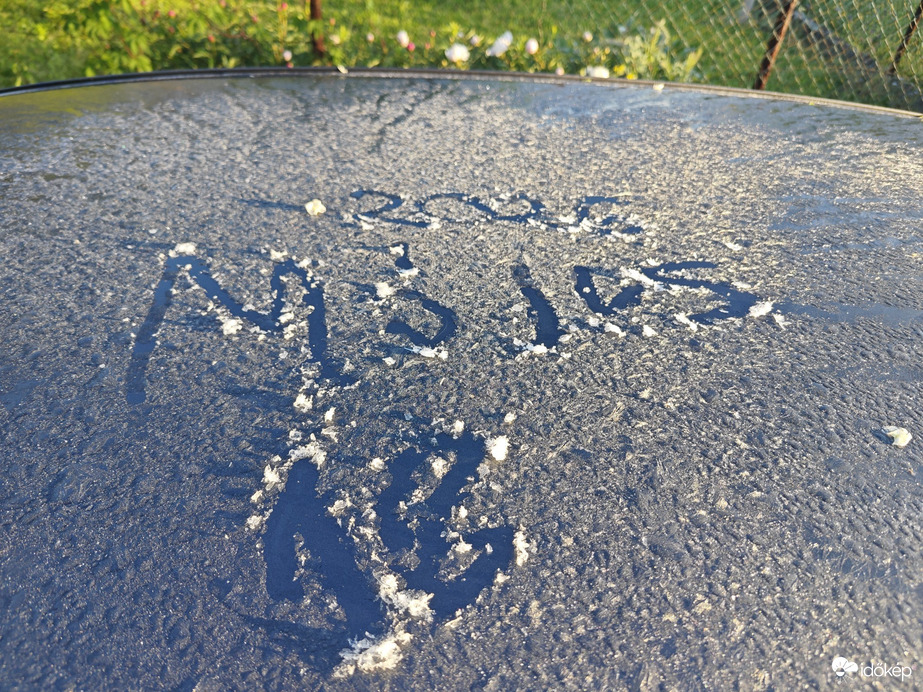 Tüskevár
