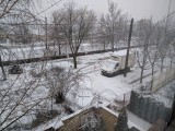 Gyula