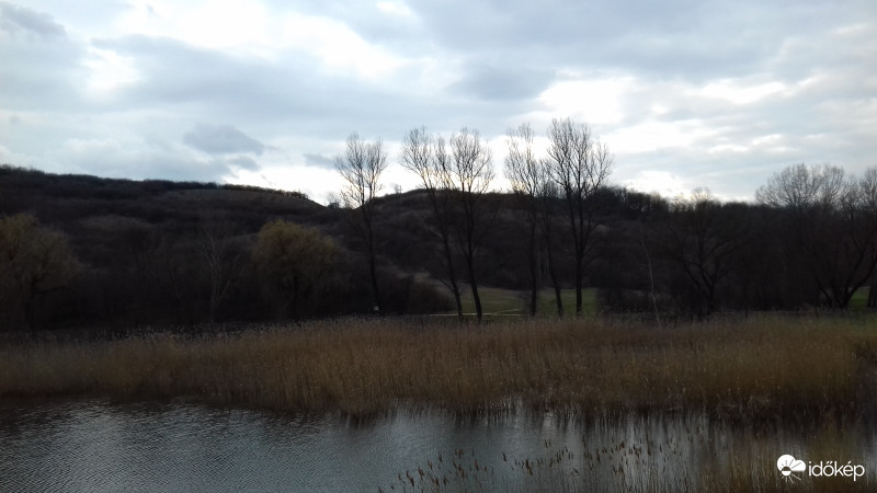 Borús, hideg délután