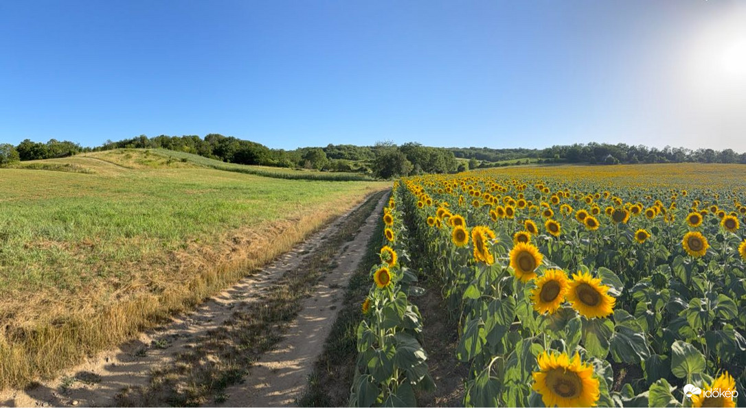 Várdomb