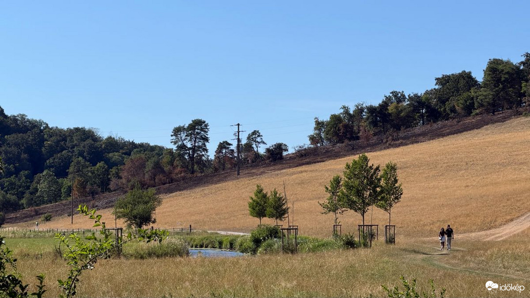 Herbrechtingen