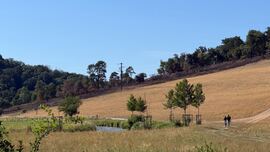 Herbrechtingen