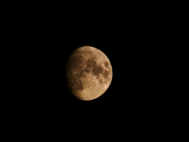 Hízóban