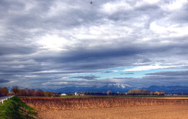 Útközben, a szomszédban