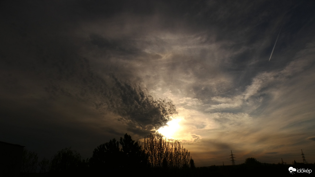 A loboncos hajú napocska