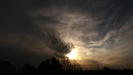 A loboncos hajú napocska