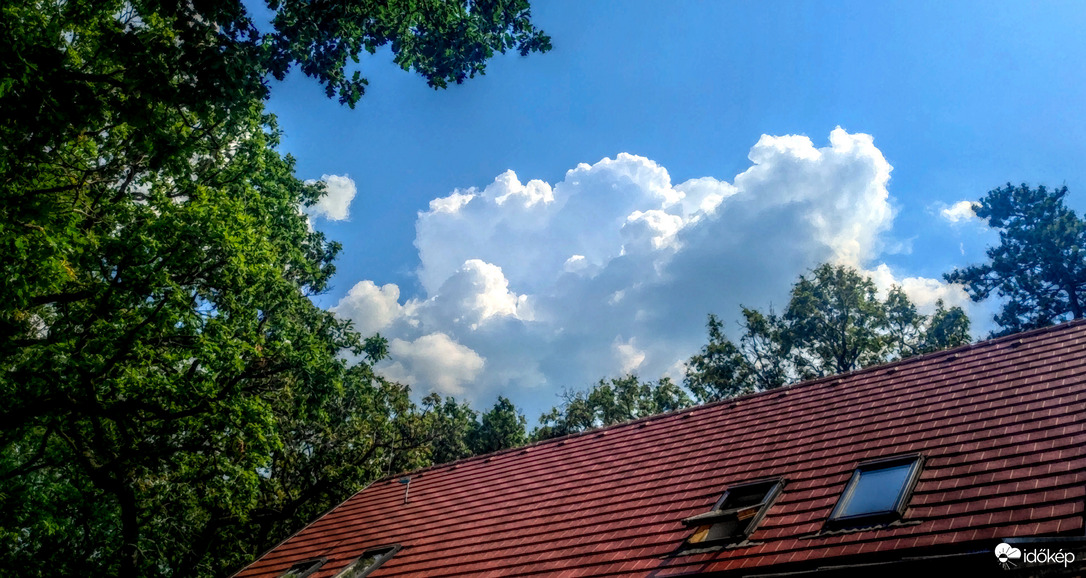 Az erdőn túl, hol a vihar dúl