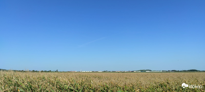 Fertő partja