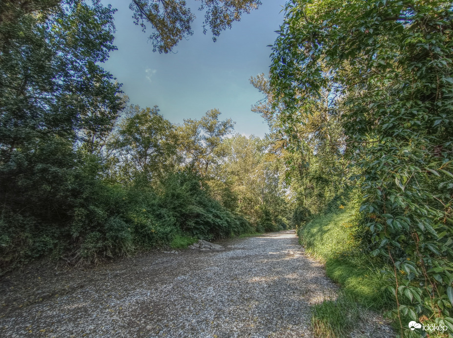 Kőfolyó (Lajta)