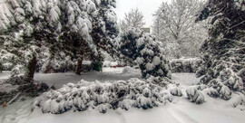 A hólepel nemcsak szép, de néha káros is