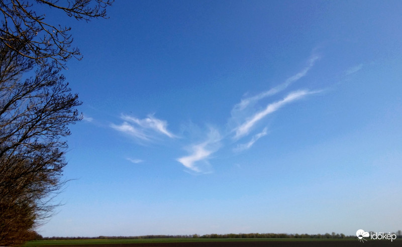 Madaras cirrus