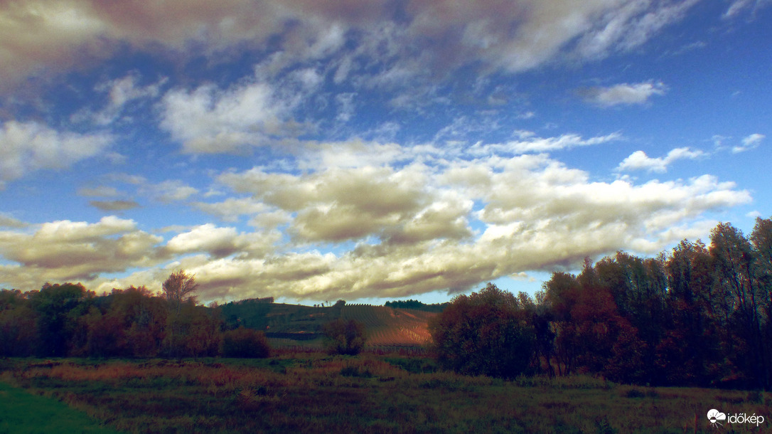 November a szőlőben