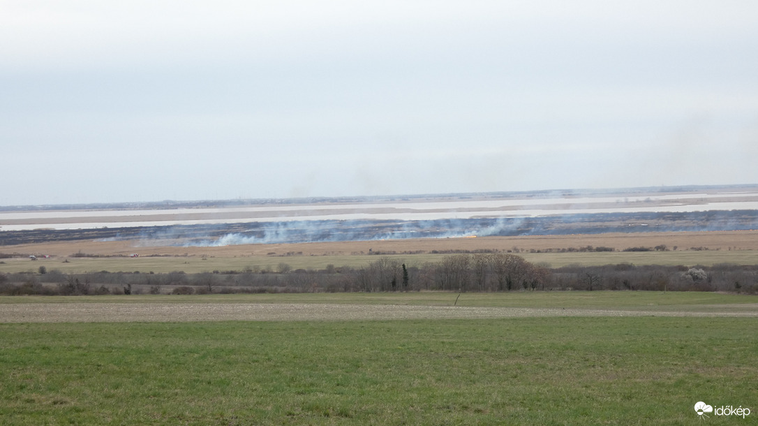 Fertő-tó
