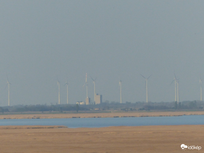 Szél, víz, nádas (Fertő tó)