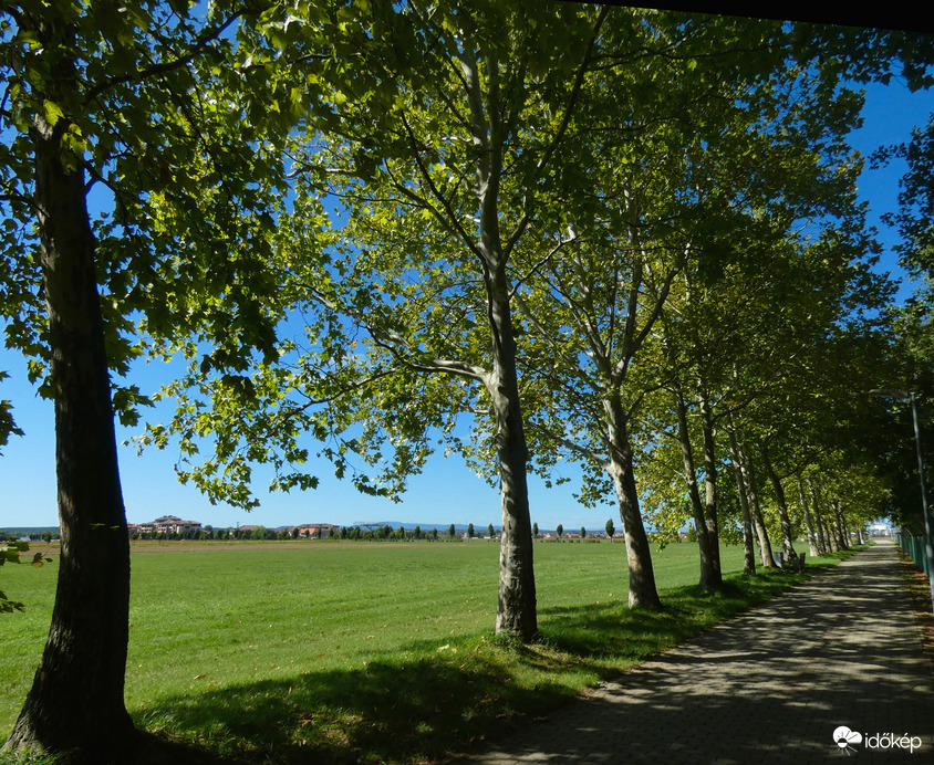 Platánsor Bükfürdőn