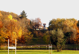 Brennbergi harangláb