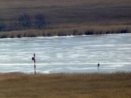 Befagyott a Fertő-tó