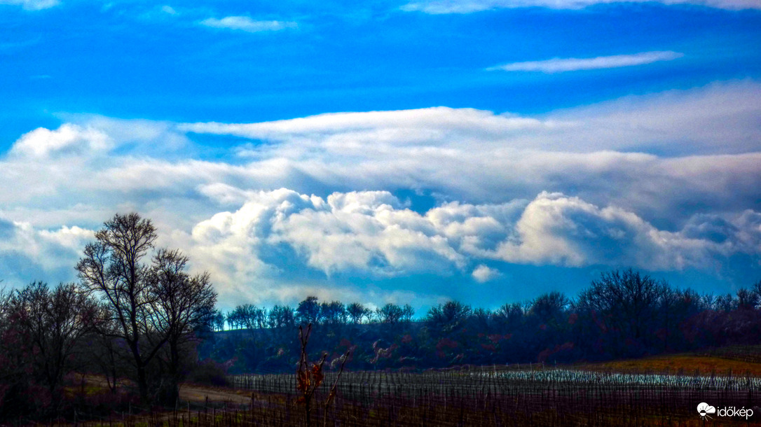 Felhők a szőlőben