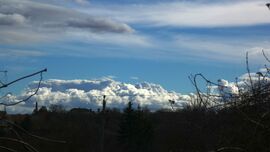 Szeles, habosfelhős február