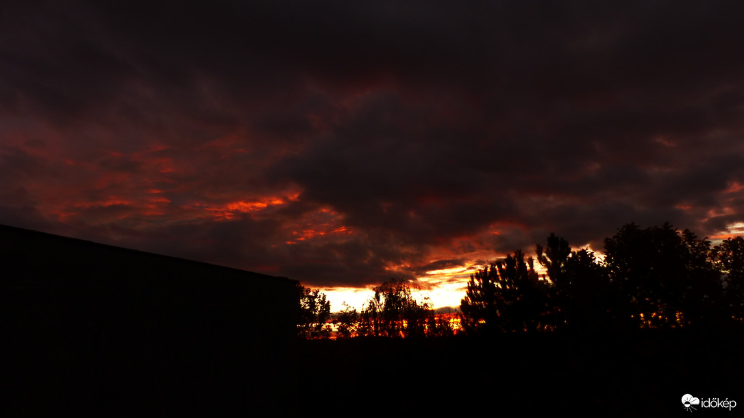 Bokorból leskelődő szörny