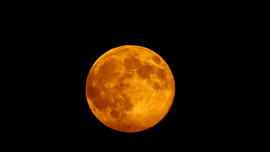 Frissensült 17:32:14