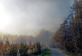 A köd, ha mindent beföd