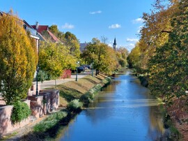 Gyula