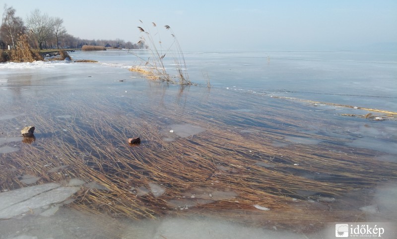 Jégbefagyott nádas 1
