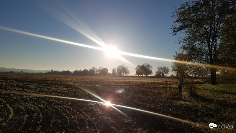 Balatonőszödi csendélet.