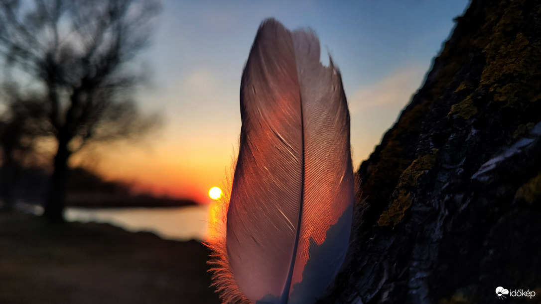 A hattyú régi ruhája