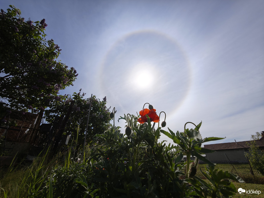 Nap halo