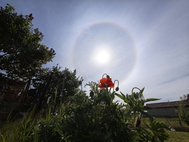 Nap halo