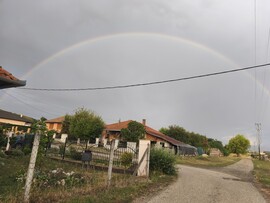 Keszeg