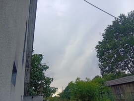 Kiskunhalas