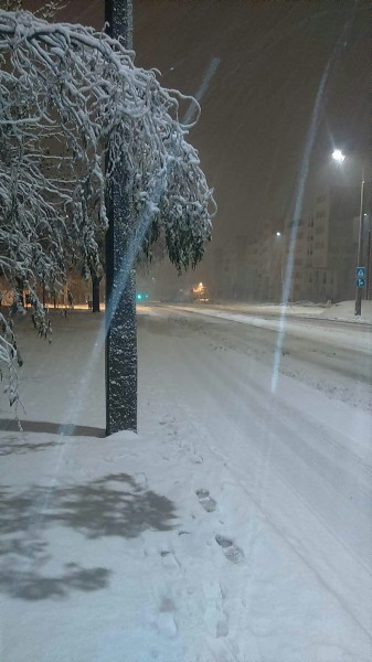 Nagykozár