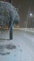 Nagykozár