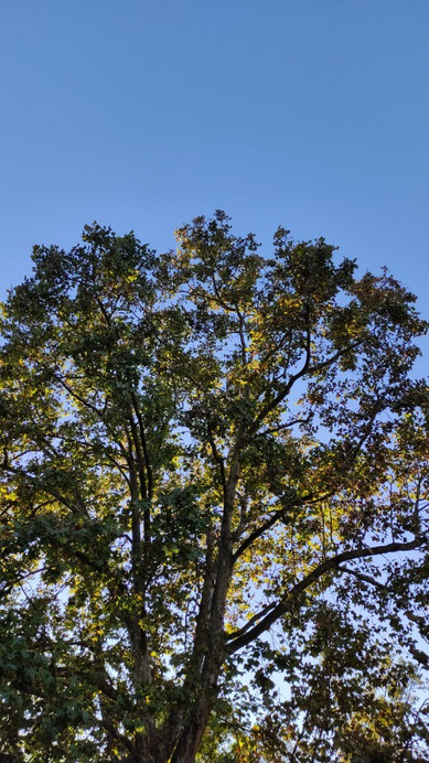 Budapest VIII.ker - Józsefváros