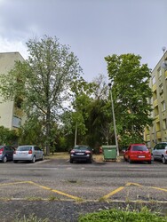 Szentes