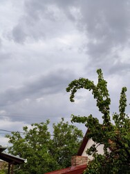 Hékéd