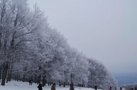 Kékestető- Behavazott az ország legmagasabb pontja 5.