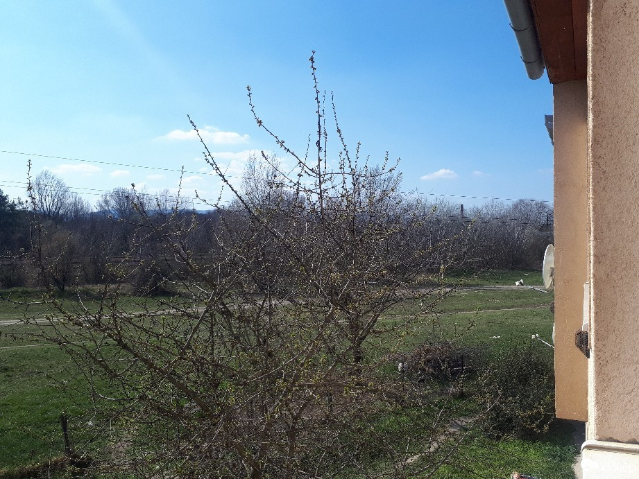 Vác
