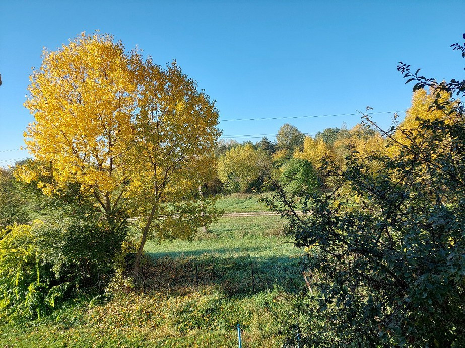 Vác