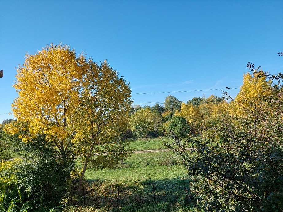 Vác