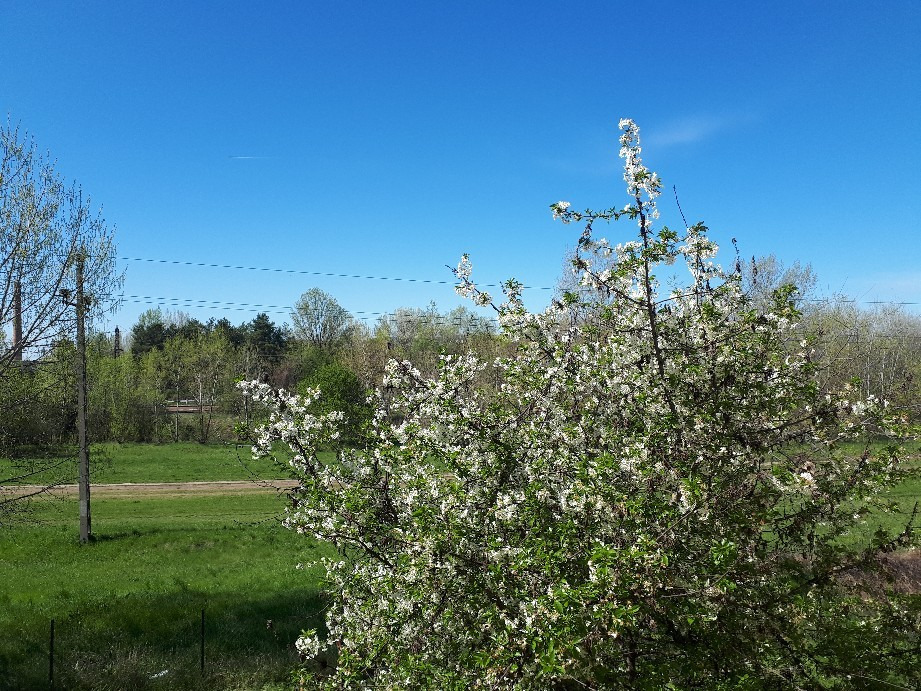 Vác