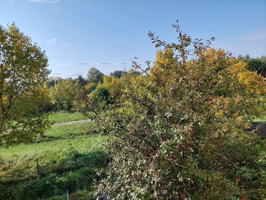 Vác